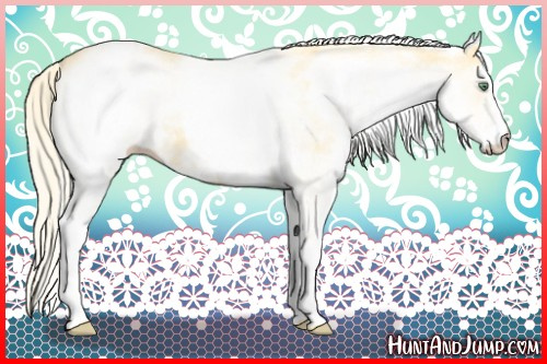 Horse Color:White Spotted Gold Cream Champagne 