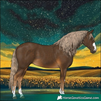 Horse Color:Chocolate Palomino 