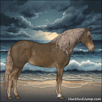 Horse Color:Chocolate Palomino 