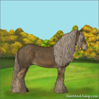 Horse Color:Chocolate Palomino 