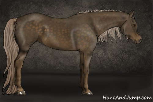 Horse Color:Chocolate Palomino