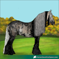 Horse Color:Void Watercolor Silver Bay Pearl Sabino Tobiano 