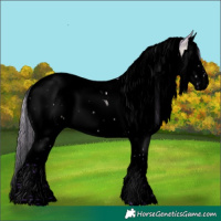 Horse Color:Void Watercolor Silver Brown Chinchilla Dun Splash Tobiano 
