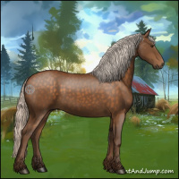 Horse Color:Silver Buckskin 
