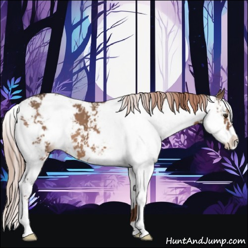 Horse Color:Liver Red Dun Sabino 
