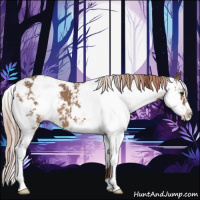 Horse Color:Liver Red Dun Sabino 