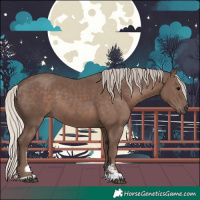 Horse Color:Silver Black Sabino 