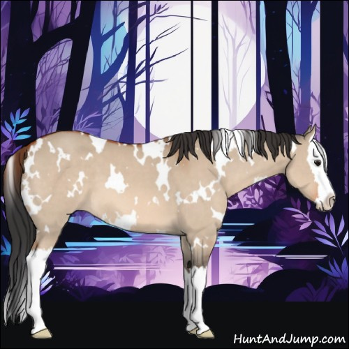 Horse Color:White Spotted Bay Dun Splash 