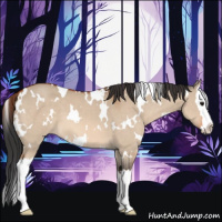 Horse Color:White Spotted Bay Dun Splash 