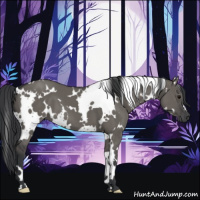 Horse Color:White Spotted Grullo 