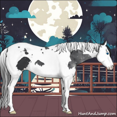 Horse Color:Black Splash Tobiano Varnish