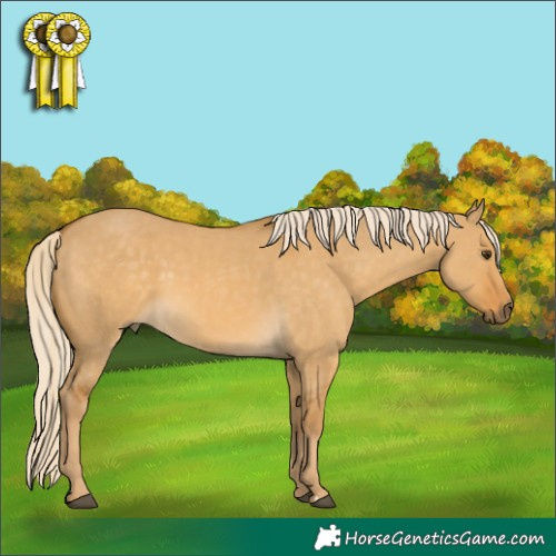 Horse Color:Palomino Dun 