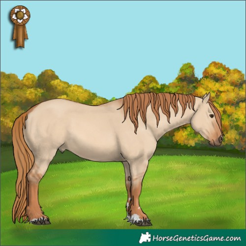 Horse Color:Red Dun 