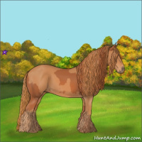 Horse Color:Chestnut  and Chestnut 