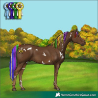 Horse Color:Painted White Spotted Chocolate Palomino 