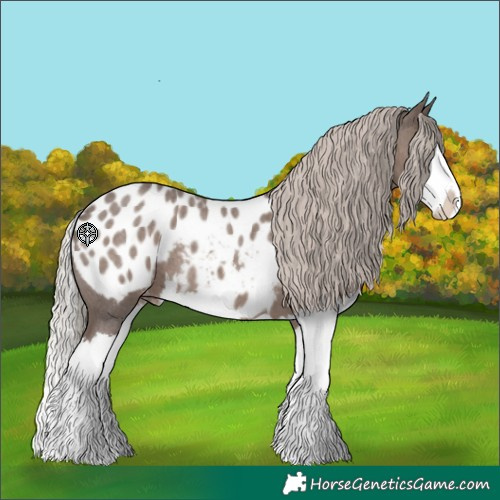 Horse Color:Silver Blue Roan Splash Appaloosa 