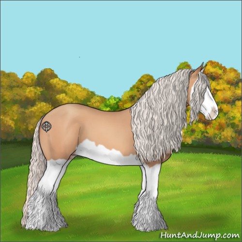 Horse Color:Silver Amber Champagne Splash 