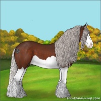 Horse Color:Silver Brown Splash 