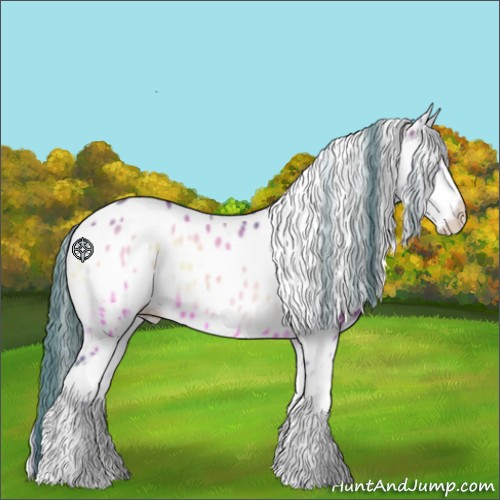 Horse Color:Watercolor Bay Onyx Sabino Appaloosa 