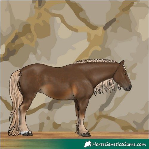 Horse Color:Chocolate Palomino 