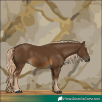 Horse Color:Chocolate Palomino 