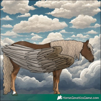 Horse Color:Chocolate Palomino 