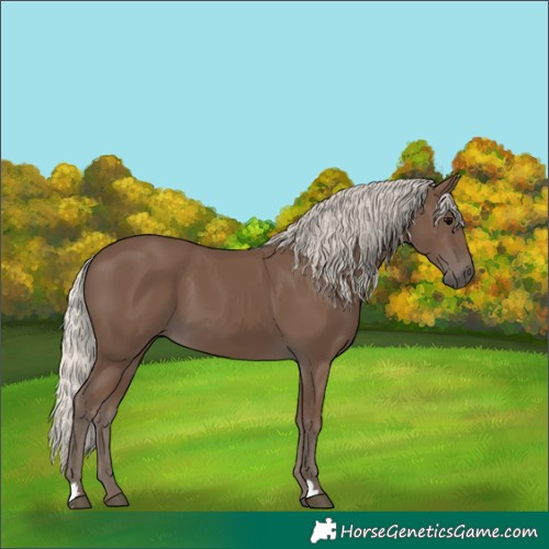 Horse Color:Silver Black 