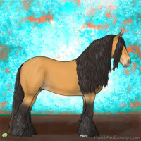 Horse Color:Buckskin 
