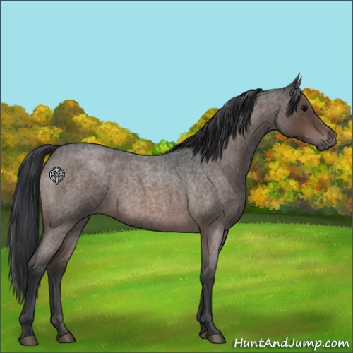 Horse Color:Brown Roan Sabino 