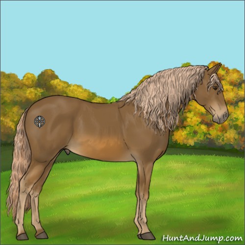 Horse Color:Chocolate Palomino 