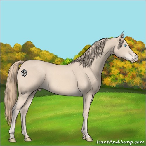 Horse Color:Perlino Sabino 