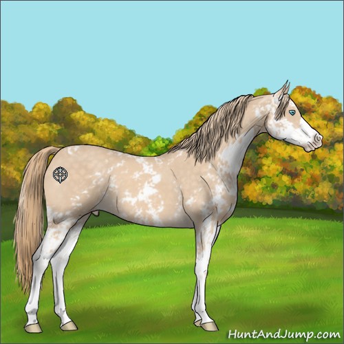 Horse Color:Perlino Sabino 