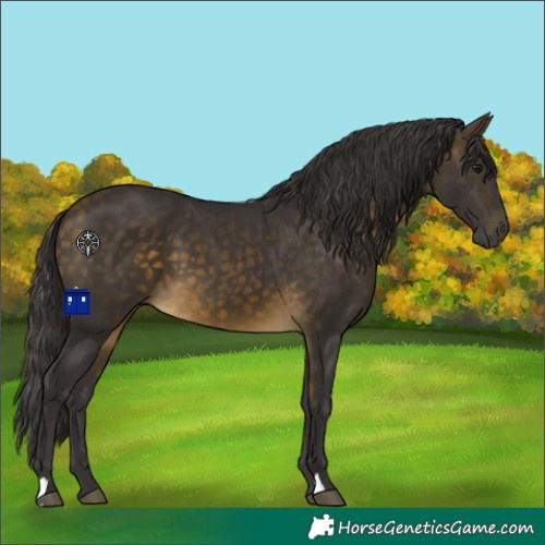 Horse Color:Buckskin 