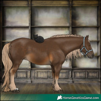 Horse Color:Chocolate Palomino 