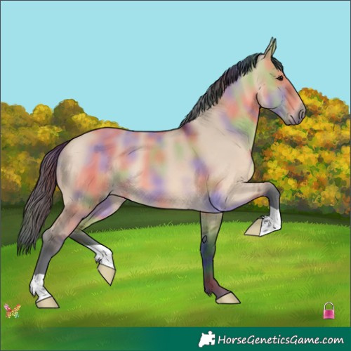 Horse Color:Nacre Bay Dun 