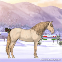 Horse Color:Gold Champagne Roan 