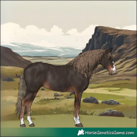 Horse Color:Liver Chestnut Rabicano