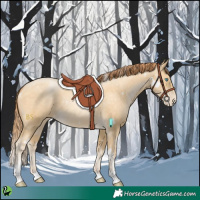 Horse Color:White Spotted Sable Cream Champagne Pearl Tobiano 