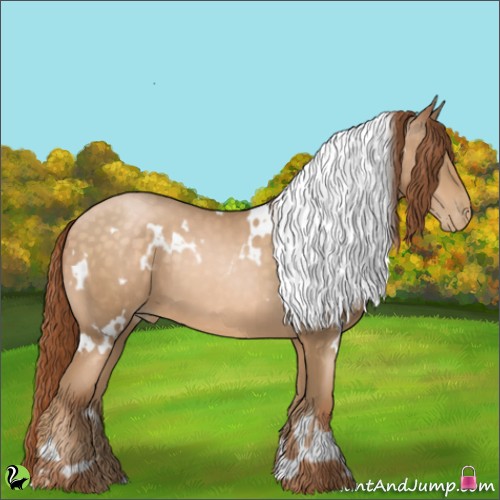 Horse Color:White Spotted Buckskin Pearl 