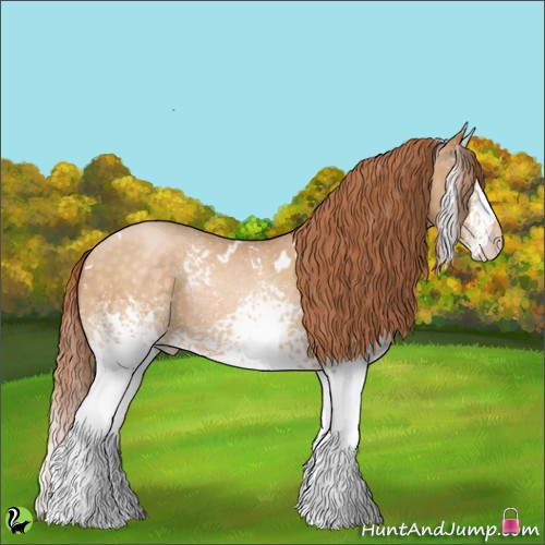 Horse Color:White Spotted Buckskin Pearl 
