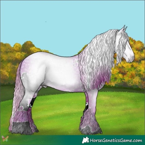 Horse Color:Gray Watercolor White Spotted Gold Champagne 