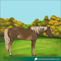 Horse Color:Chocolate Palomino Mushroom 