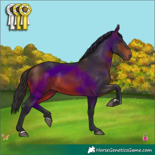 Horse Color:Brown 