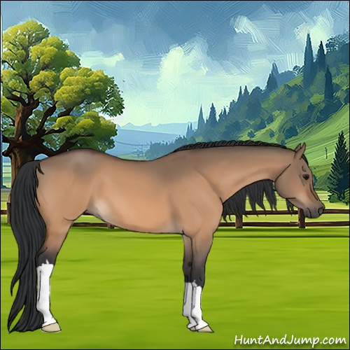 Horse Color:Bay Dun