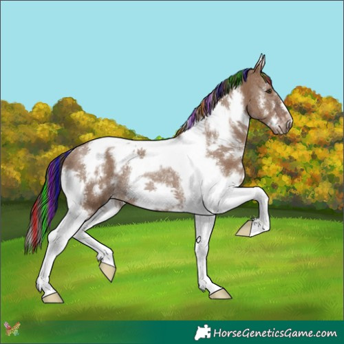 Horse Color:Painted White Spotted Liver Red Dun Tobiano Frame Rabicano 