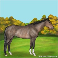 Horse Color:Brown Dun Rabicano 