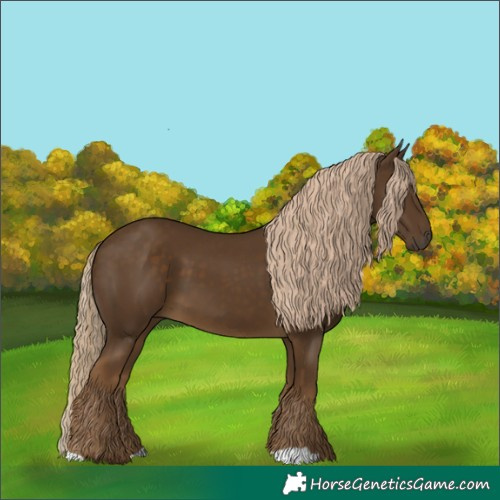 Horse Color:Chocolate Palomino 