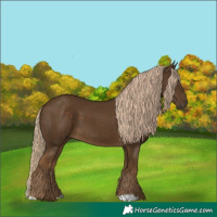 Horse Color:Chocolate Palomino 