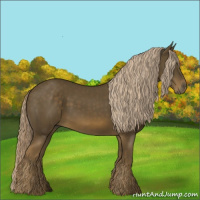 Horse Color:Chocolate Palomino 