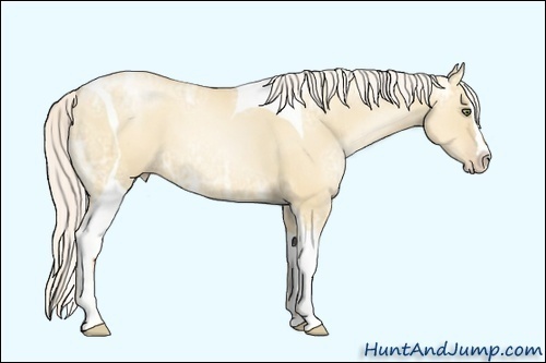 Horse Color:Silver Classic Champagne Ice Pearl Dun Sabino Splash Tobiano Frame 